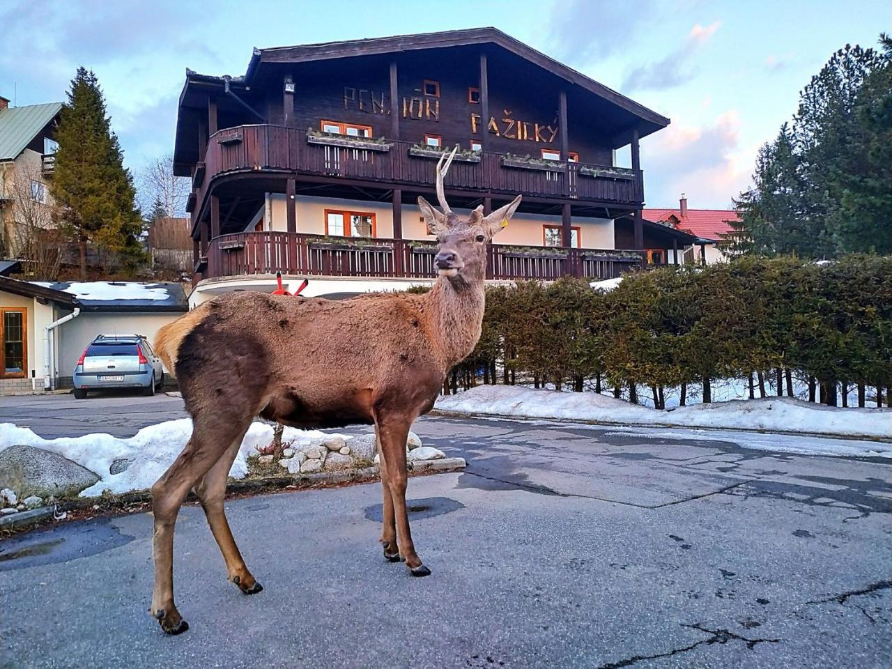 Penzion Pazicky Stará Lesná Exterior foto